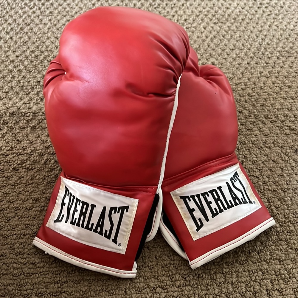 EVERLAST- ADVANCED TRAINING GLOVES, 12oz
